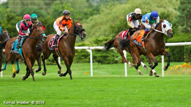 In Photos Winning Puss N Boots Cup Connections Take A Dip